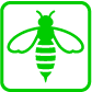 Insekten